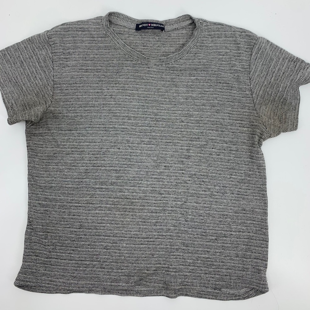 Brandy Melville Crop Top